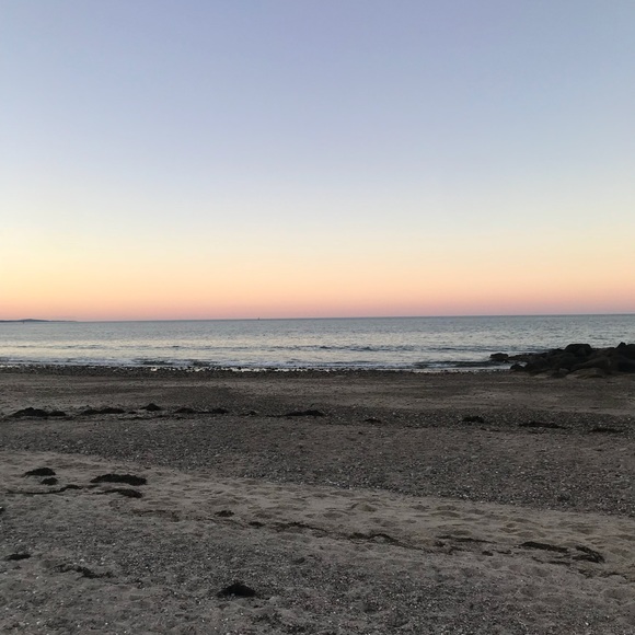 Meet your Posher, Lily - Picture 1 of 1